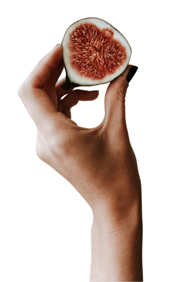 A hand with a fig
